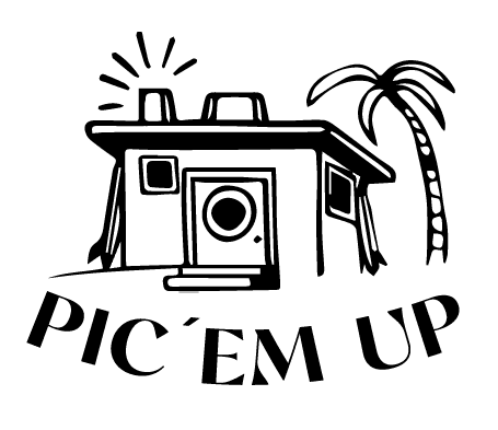 Logo antiguo PICEMUP